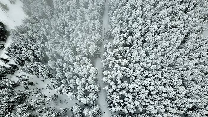 Gümüşhane'deki Tersun Dağı'nda doğa yürüyüşü 9